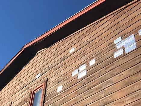 Squirrels, birds, and raccoons can damage a roof by digging or scratching at the shingles.