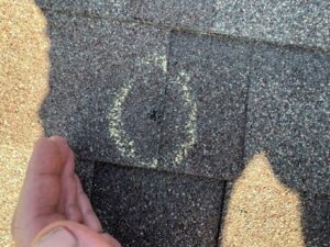 hail causes serious damage to shingles and roofs